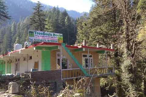 Tree Soul Hostel jibhi himachal pradesh